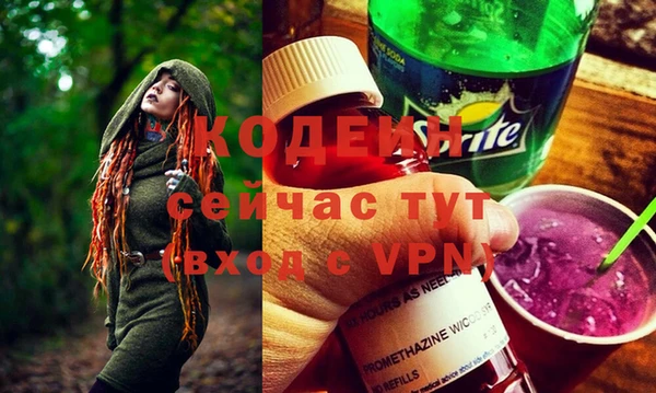 МДПВ Нефтегорск
