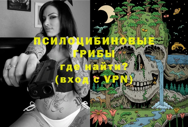 МДПВ Нефтегорск