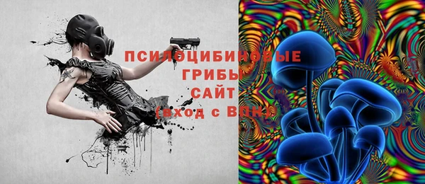 прущая мука Нея