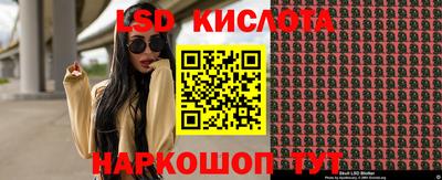 спайс Берёзовский