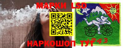 спайс Берёзовский