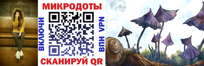 Галлюциногенные грибы GOLDEN TEACHER  Балтийск 