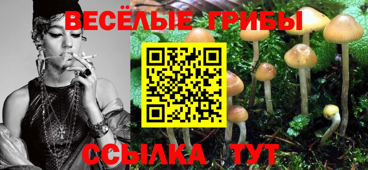 Галлюциногенные грибы мухоморы Балтийск
