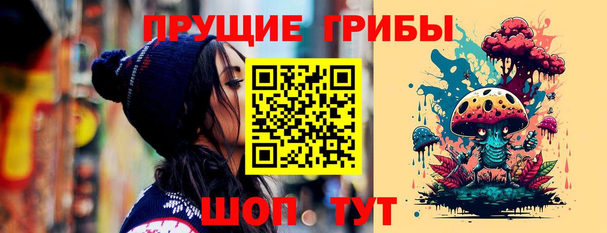 Галлюциногенные грибы Cubensis Балтийск