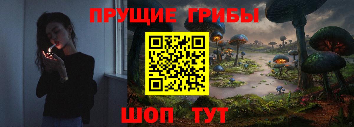 хочу наркоту  Балтийск  Галлюциногенные грибы Magic Shrooms  Псилоцибиновые грибы мицелий 